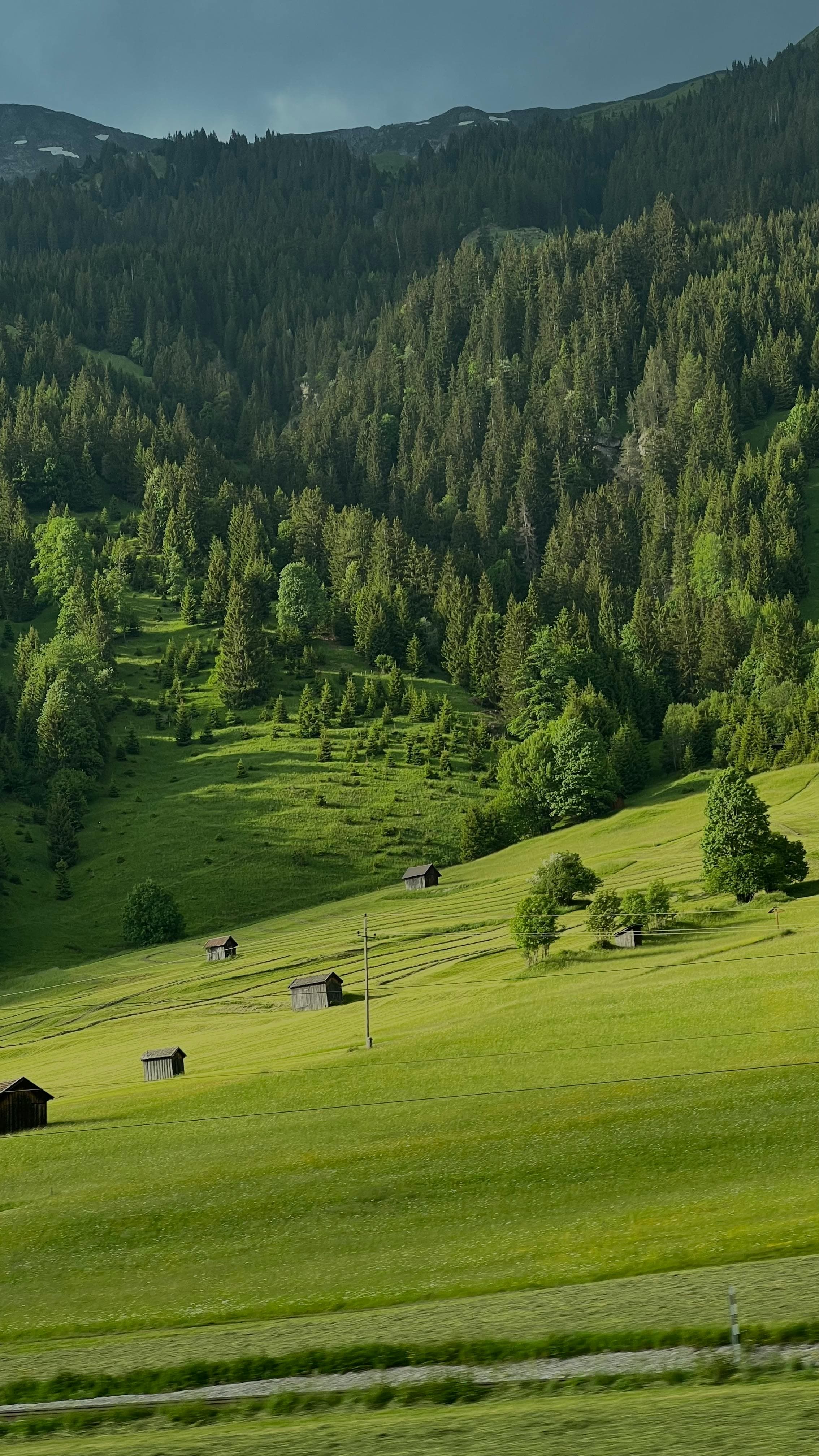 nature