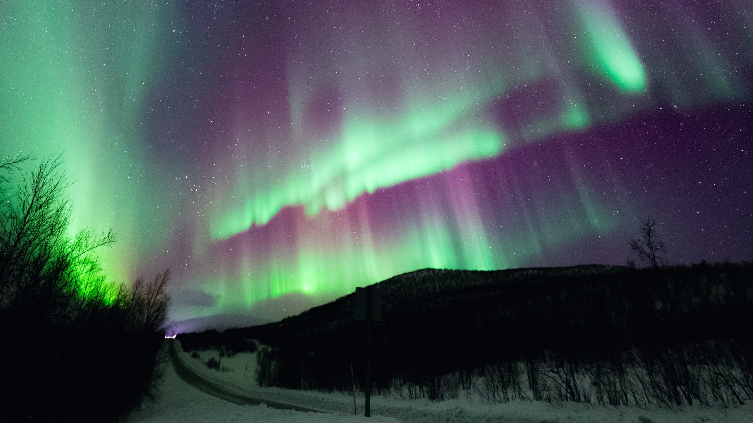 AURORA